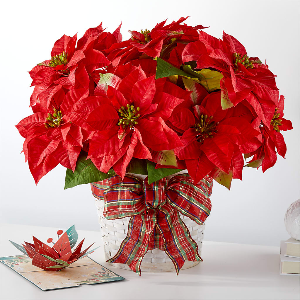 Happiest Holidays Poinsettia and Lovepop Card – SIA'S BLOSSOM BLOOMS, Griffin GA
