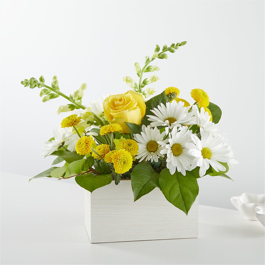 Sun Salutation Box Bouquet – SIA'S BLOSSOM BLOOMS, Griffin GA