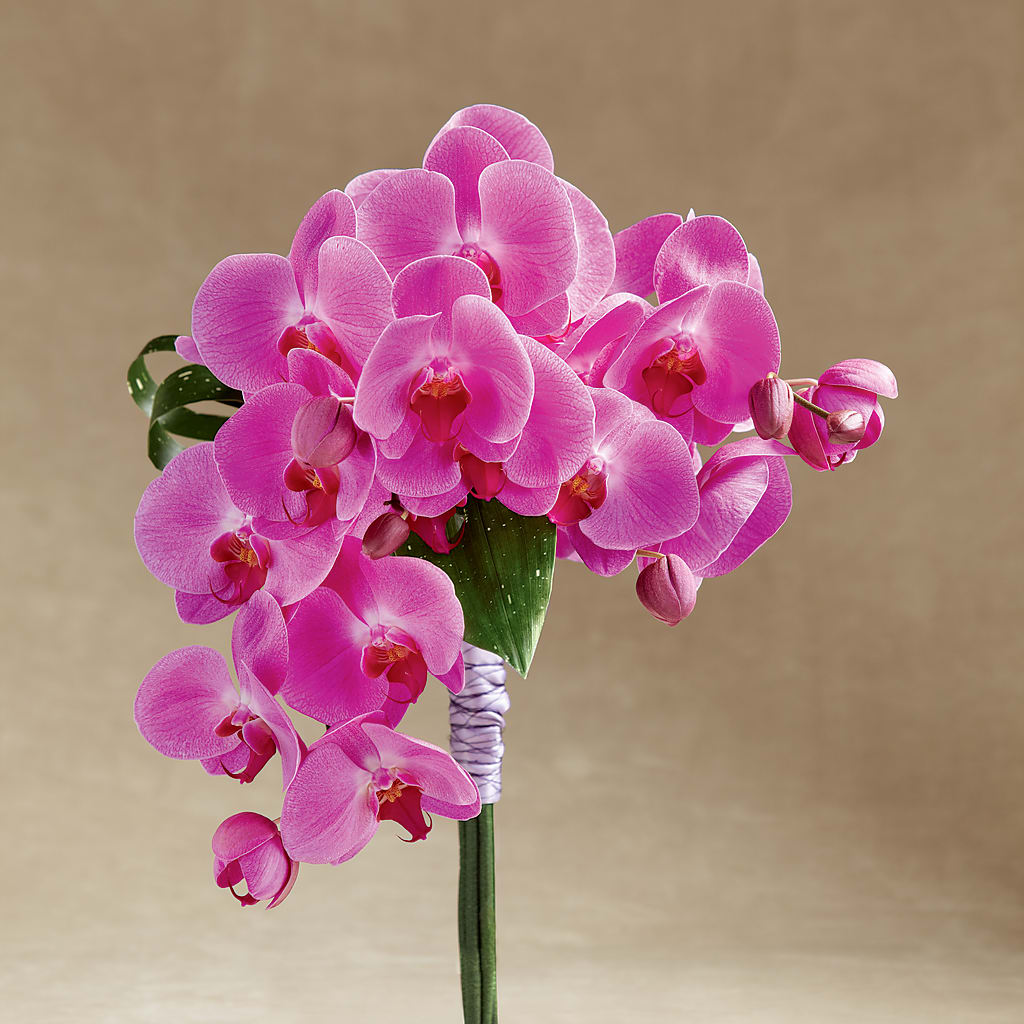 Glorious Bouquet – SIA'S BLOSSOM BLOOMS, Griffin GA