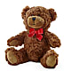 Adorable Plush Bear – SIA'S BLOSSOM BLOOMS, Griffin GA