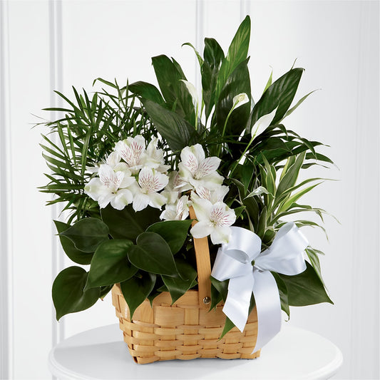 Peace & Serenity Dishgarden – SIA'S BLOSSOM BLOOMS, Griffin GA