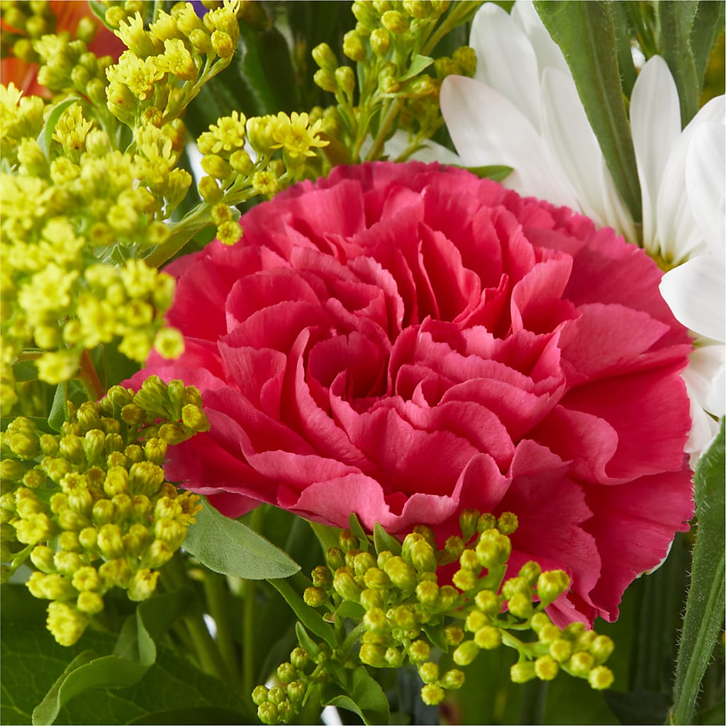 Oopsie Daisy Bouquet – SIA'S BLOSSOM BLOOMS, Griffin GA