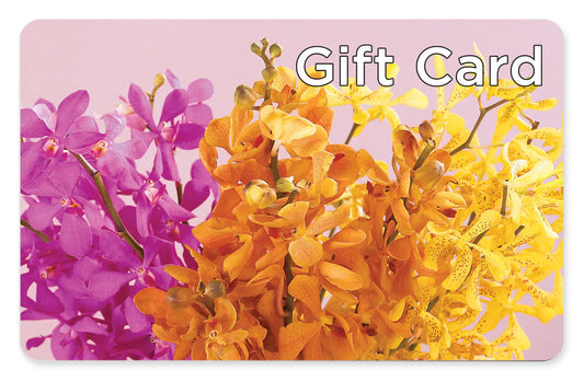 Gift Card – SIA'S BLOSSOM BLOOMS, Griffin GA