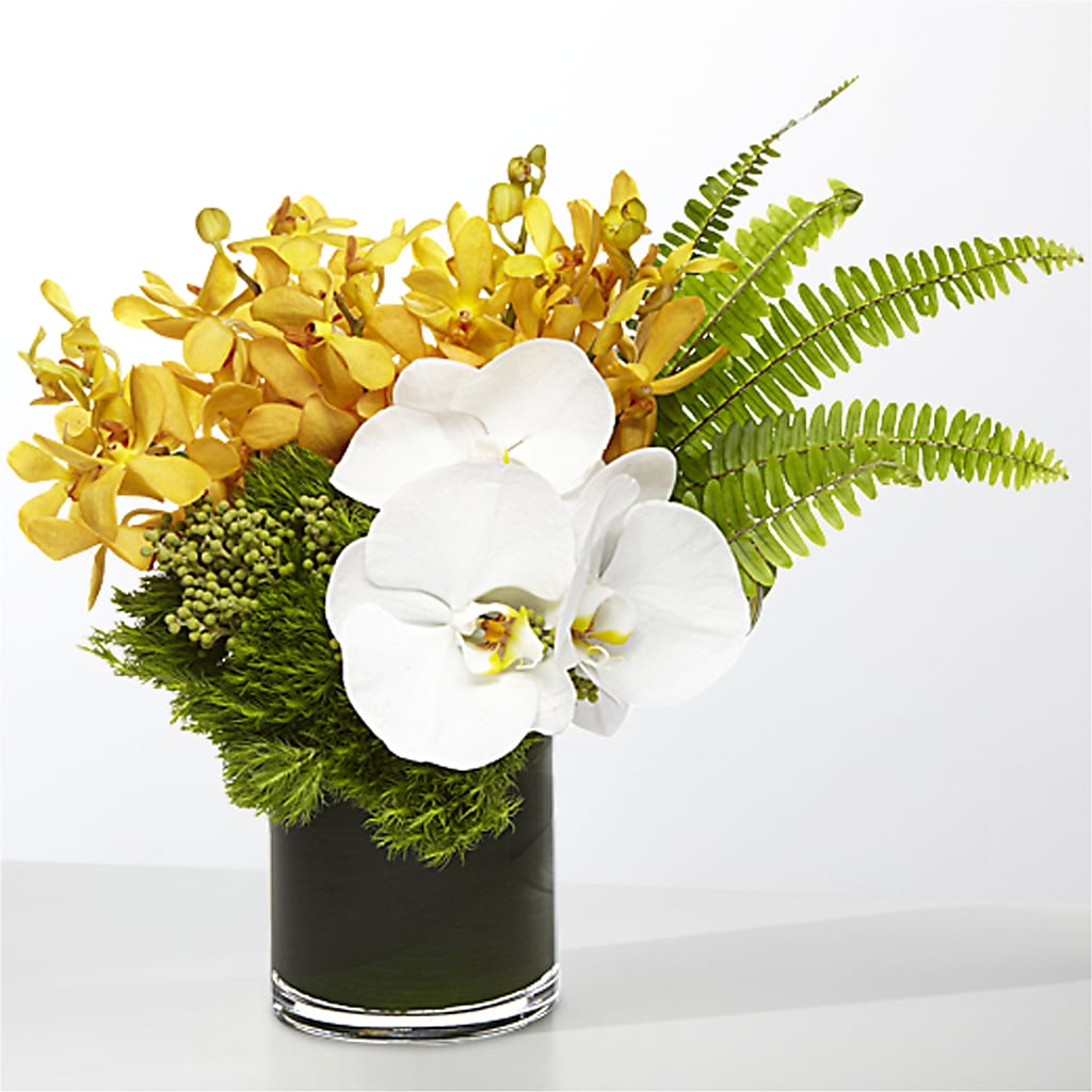 The Tropics – SIA'S BLOSSOM BLOOMS, Griffin GA