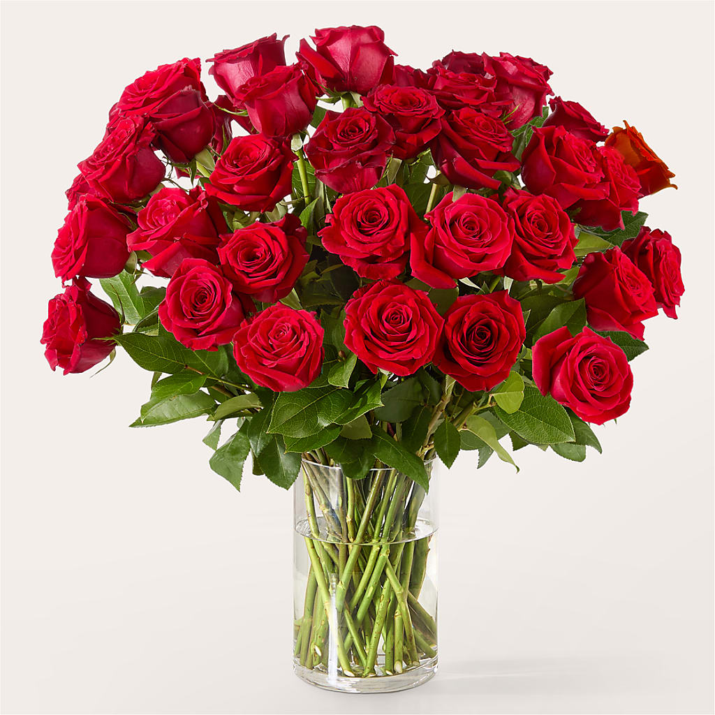 The One Red Rose Bouquet – SIA'S BLOSSOM BLOOMS, Griffin GA