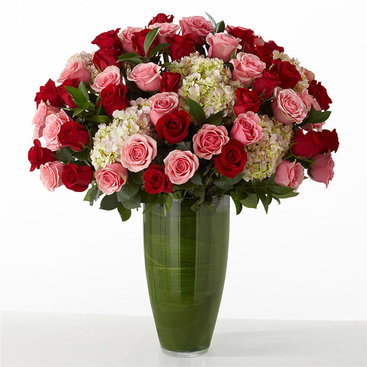 The Allure – SIA'S BLOSSOM BLOOMS, Griffin GA
